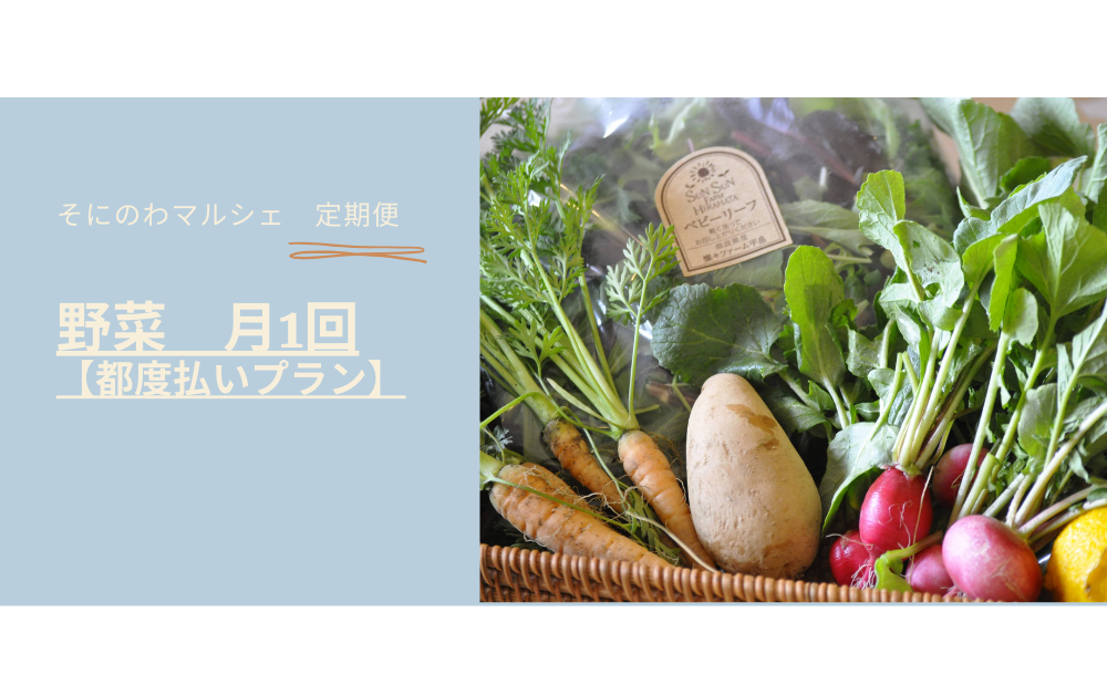 【毎月1回発送】 そにのわマルシェ定期便野菜都度払いプラン　2025年9月スタート紹介画像1